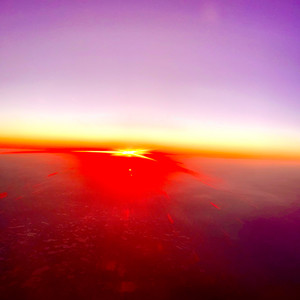 Cash Tree (Explicit)