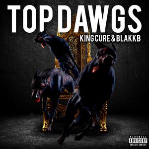 Top Dawgs (feat. BlakkB) [Explicit]