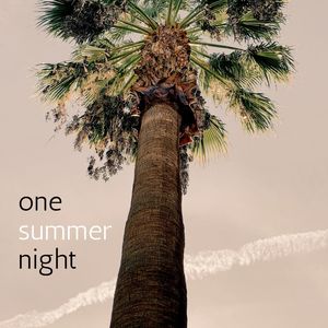 one summer night