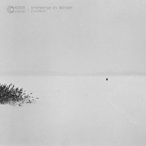 Immerse In Winter -Ep