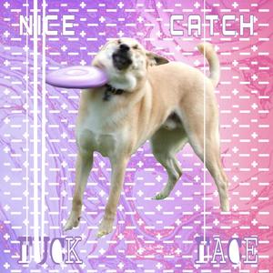 Nice Catch ****face (Acoustic Version)