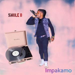 Impakamo