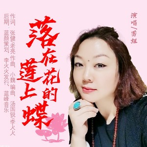 落在莲花上的蝶