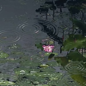 唐人恋曲 (DJ版)