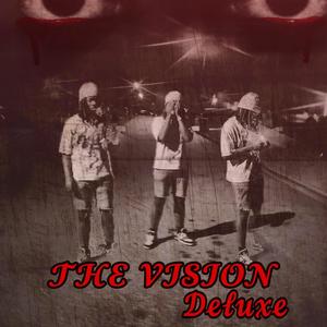 THE VISION (DELUXE) [Explicit]