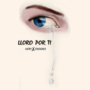 Lloro por Ti