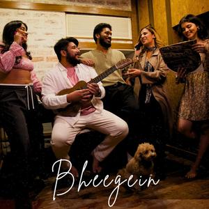 Bheegein
