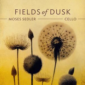Fields Of Dusk