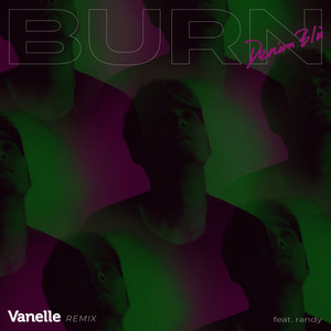 Burn (Vanelle Remix) [Explicit]