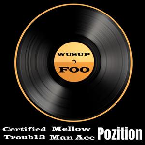 Wusup Foo (feat. Mellow Man Ace & Pozition) [Explicit]