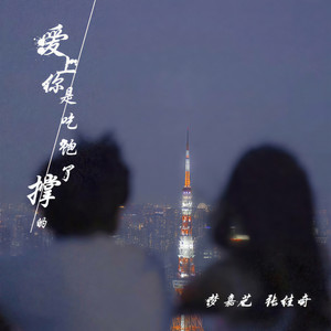 爱上你是吃饱了撑的