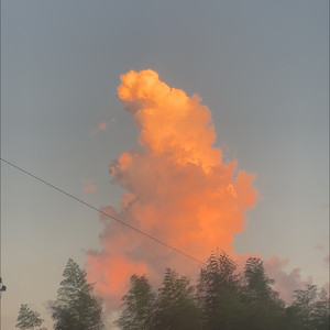 鱼头七块五一斤 (伴奏)