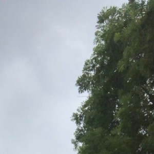 เพลงๆนี้ฉันเขียนให้เธอ (Demo)