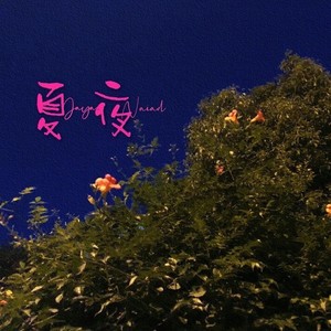 夏夜