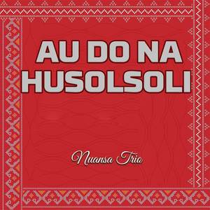 Au Do Na Husolsoli