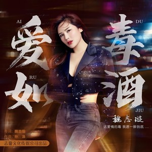 魏志璇 - 爱如毒酒 (DJ伟然版伴奏)