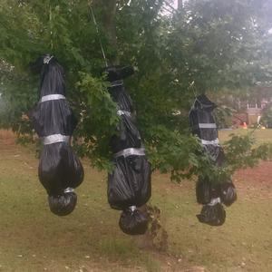 anorexic ozempic body bag (Explicit)