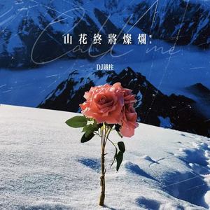 山花终将灿烂 (Call me燃曲)