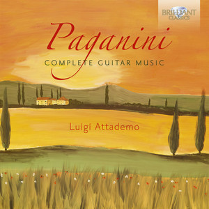Grande Sonata, MS 3 - I. Allegro risoluto