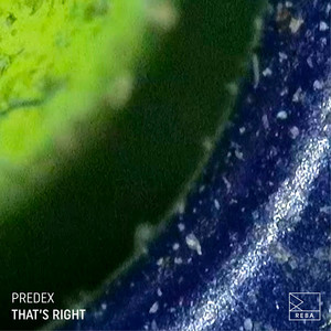 That's Right (Remcord 4.20mix)