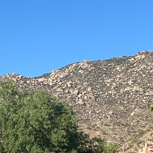 The jazz in me (feat. The Naturalist & LIFE GIVER)