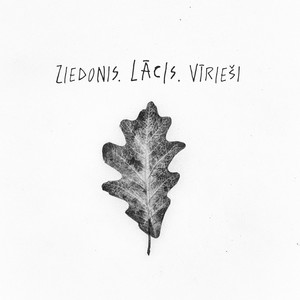 Es Skaitīju Līdz Nonācu Pie Viena