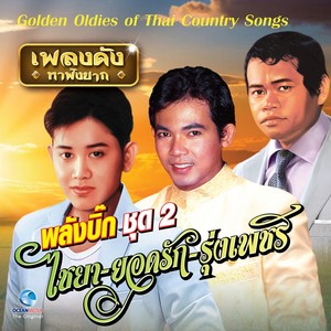 เพลงดังหาฟังยาก - ลูกทุ่งรวมฮิต พลังบิ๊ก ชุด 2 (Golden Oldies of Thai Country Songs.)