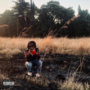 Money Run The World (Explicit)