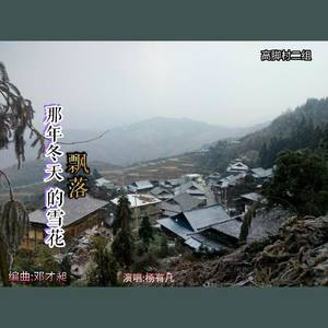 那年冬天飘落的雪花