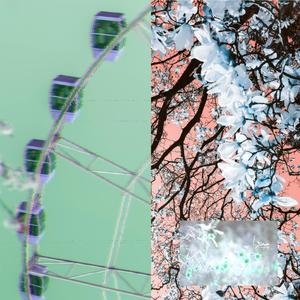 hill climbers (bonus)