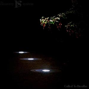 Live Like This (feat. Kaylene Barber)