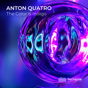 The Color Is Indigo (BLOMAQ Remix)