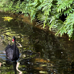 Fix My Life (Explicit)