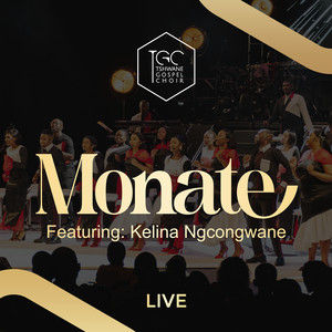 Monate (Live)