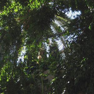 Overflow (feat. Villagerrr) (feat. Villagerrr & liver)