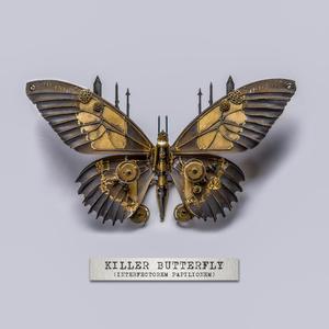 Black Butterflies (feat. JC001)