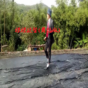 摇摇欲坠 (舞蹈版)