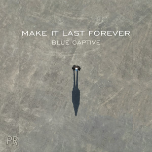 Make It Last Forever