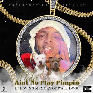 Aint No Play Pimpin (In Loving Memory Of Walt Dogg) [Explicit]