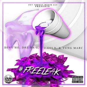 FreeLeak (Explicit)