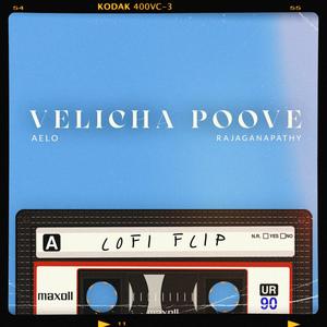 Velicha Poove Lofi Flip (feat. Rajaganapathy)