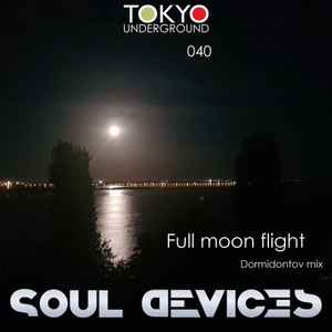 Full moon flight (Dormidontov Mix)