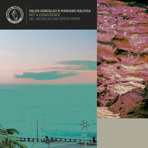Not a Coincidence (Nicholas Van Orton Remix)