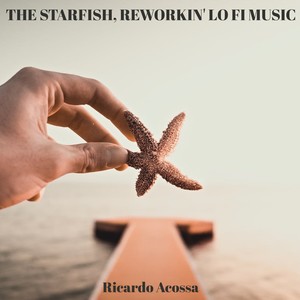 The Starfish, Reworkin' Lo Fi Music