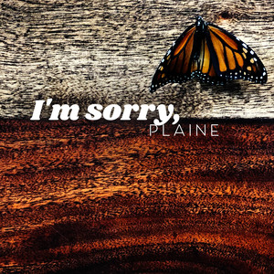 Plaine - I'm Sorry