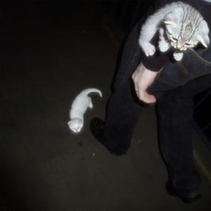 stress (feat. pposture)