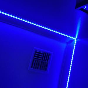 cockroach music - evil in the symbol of all goodness