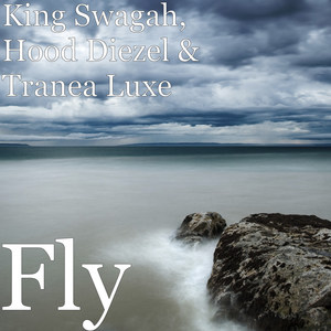 Fly