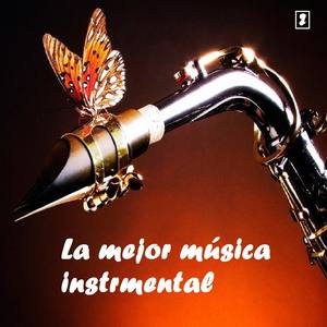 La mejor musica instrumental Vol.2