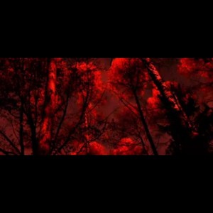 Restableciendo (Acoustic)